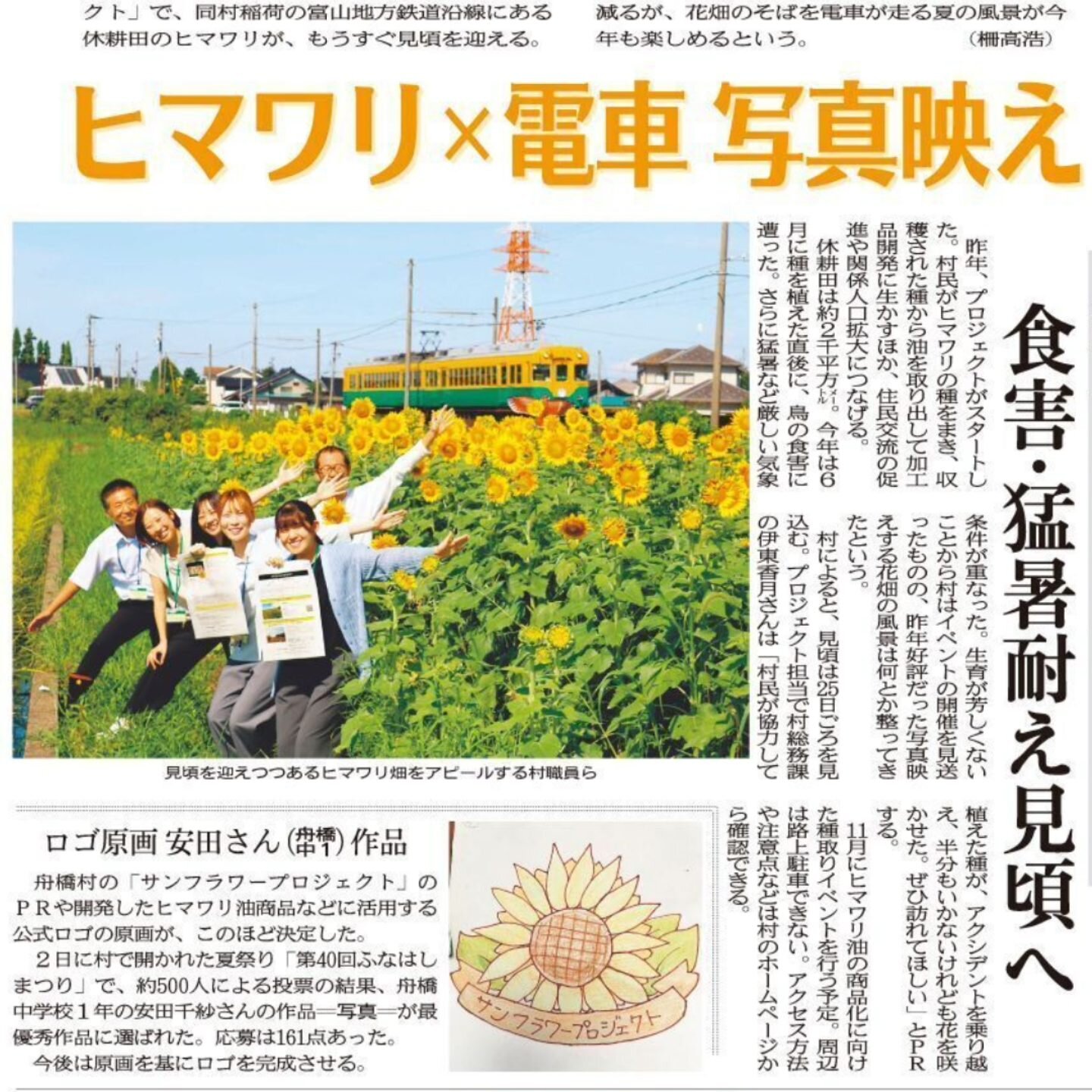 ひまわり電車.jpeg