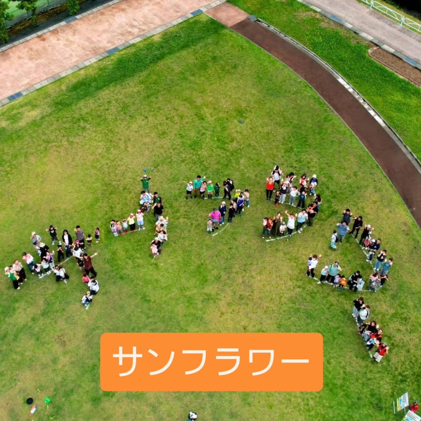 サンフラワープロジェクト01.jpg